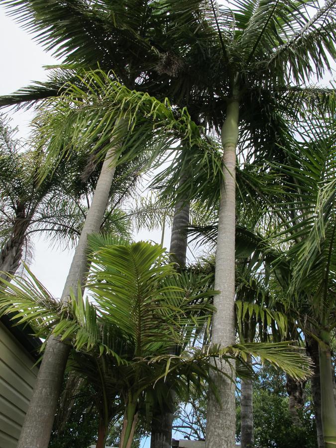 פורט מקווארי Melaleuca Caravan Park מראה חיצוני תמונה